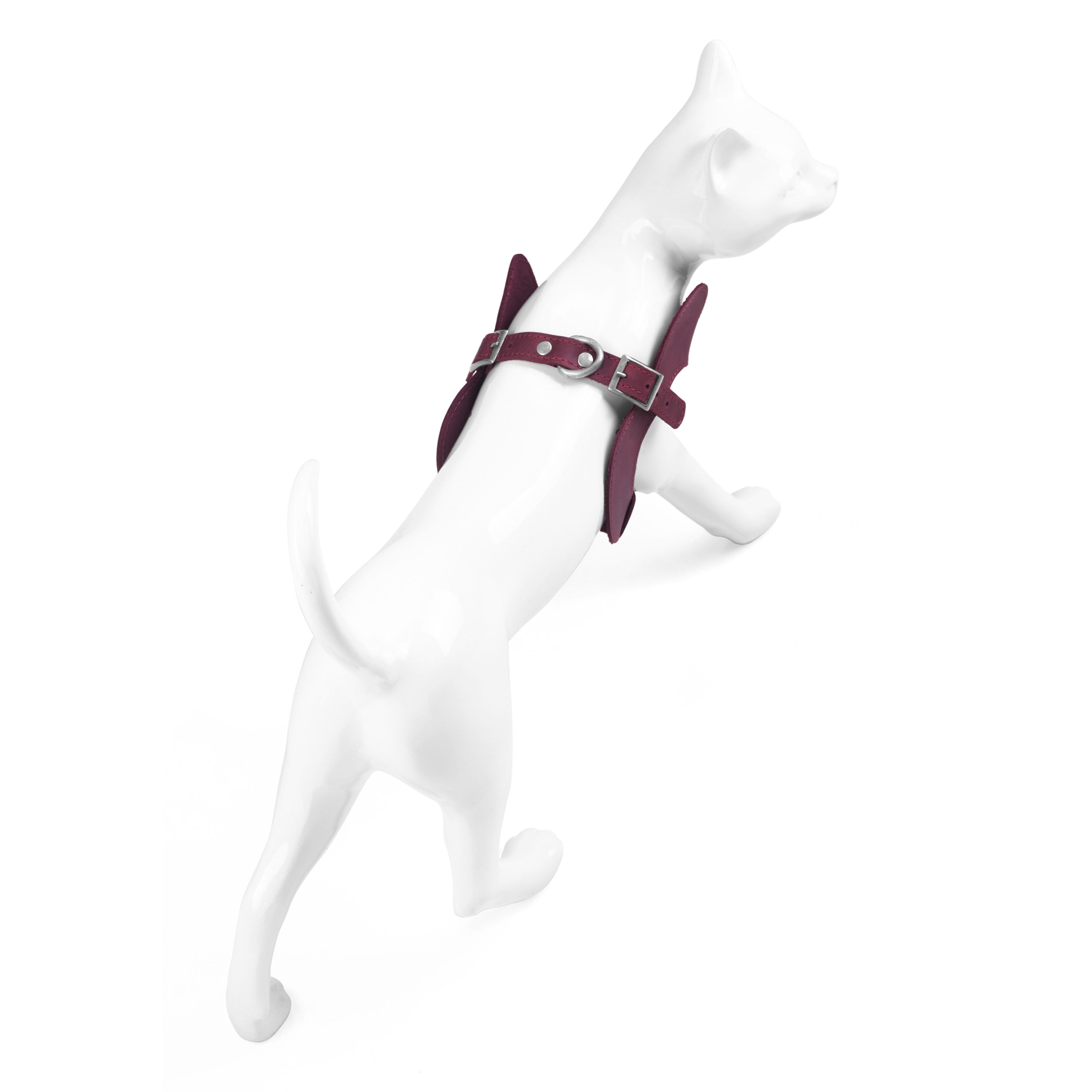 Simple Engraved Leather Cat Harness