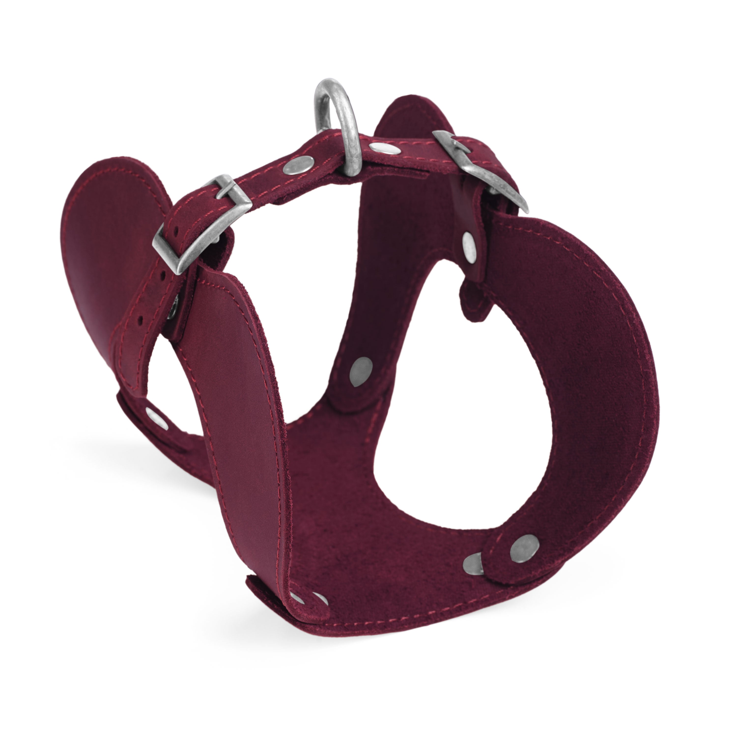 Simple Engraved Leather Cat Harness