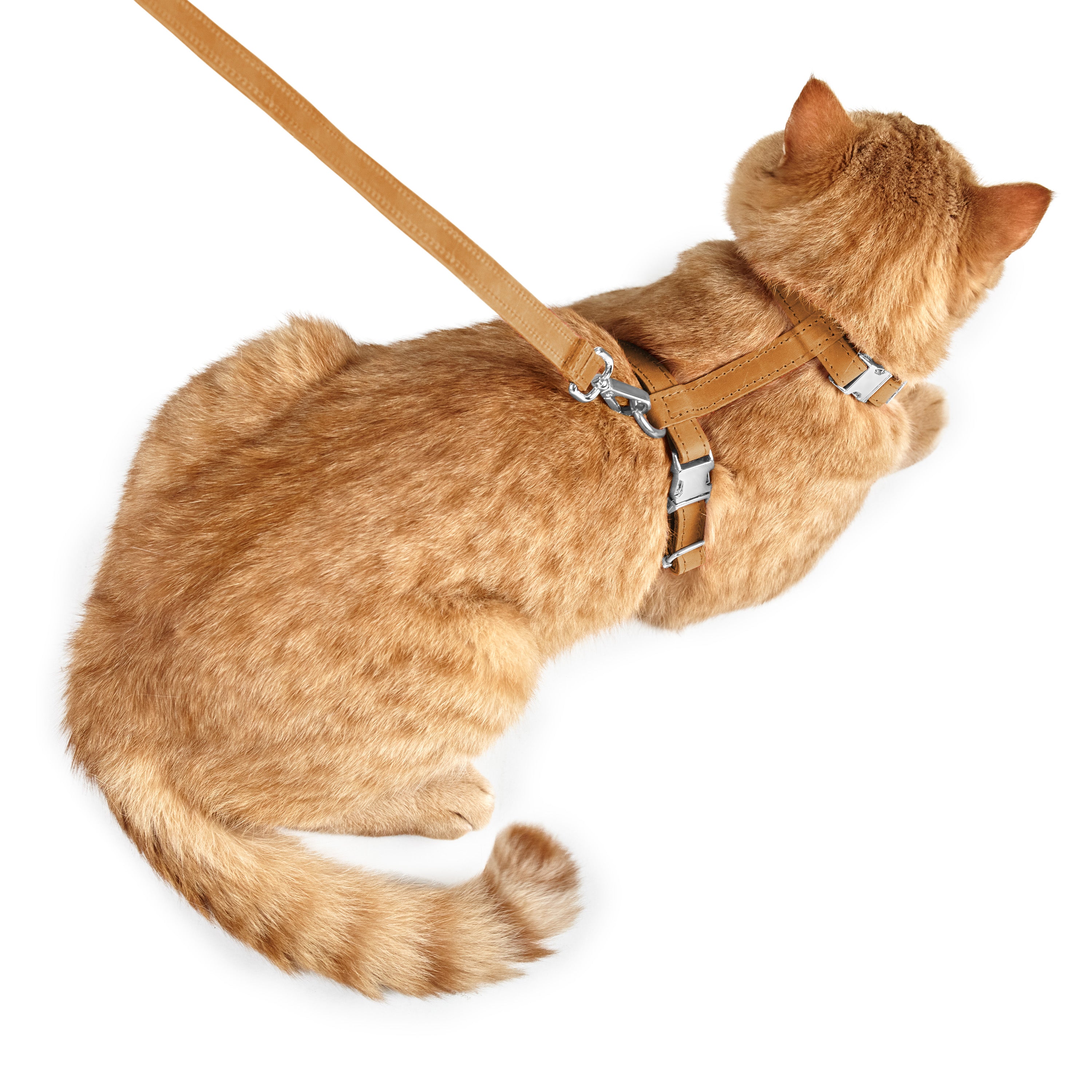 #color_vintage brown