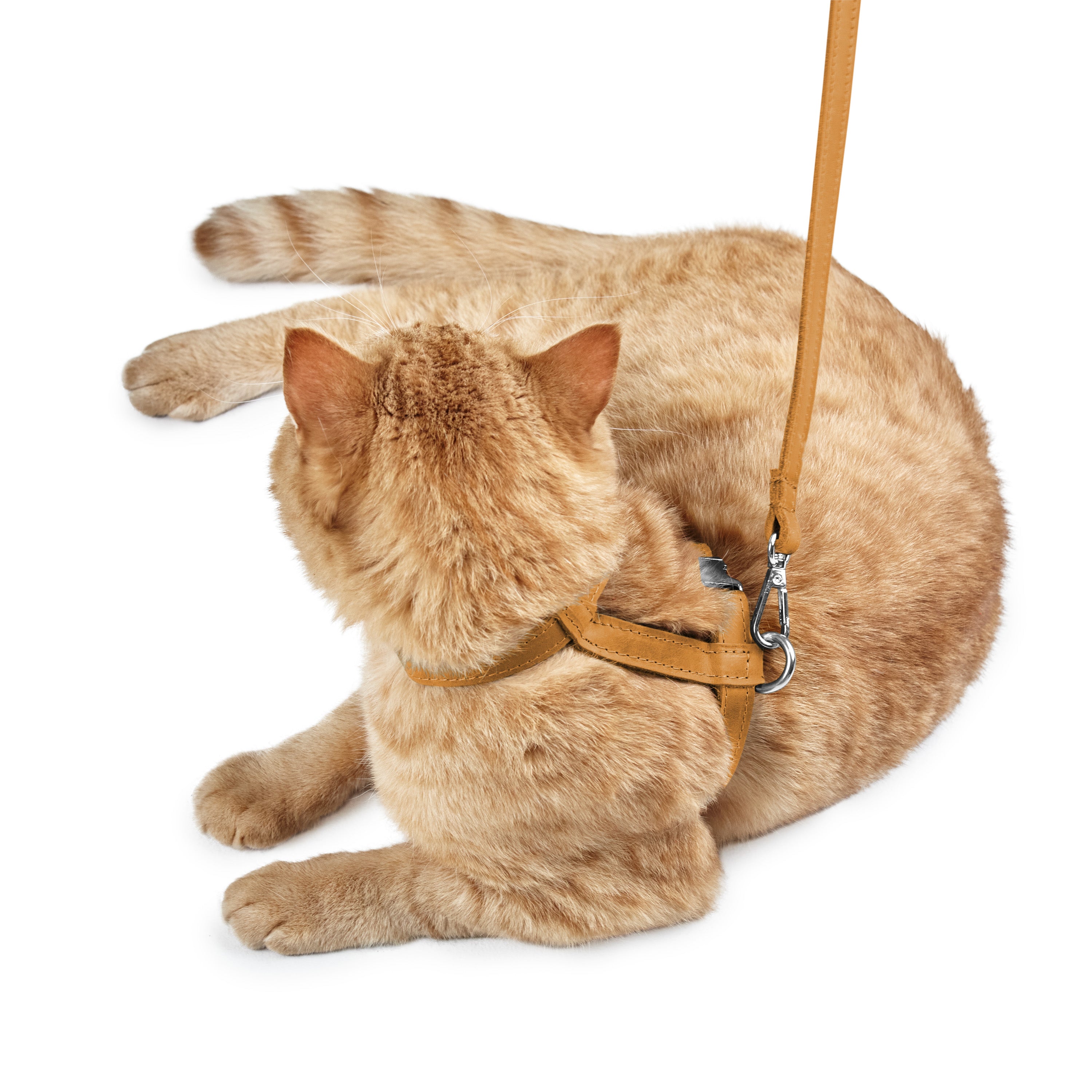 #color_vintage brown