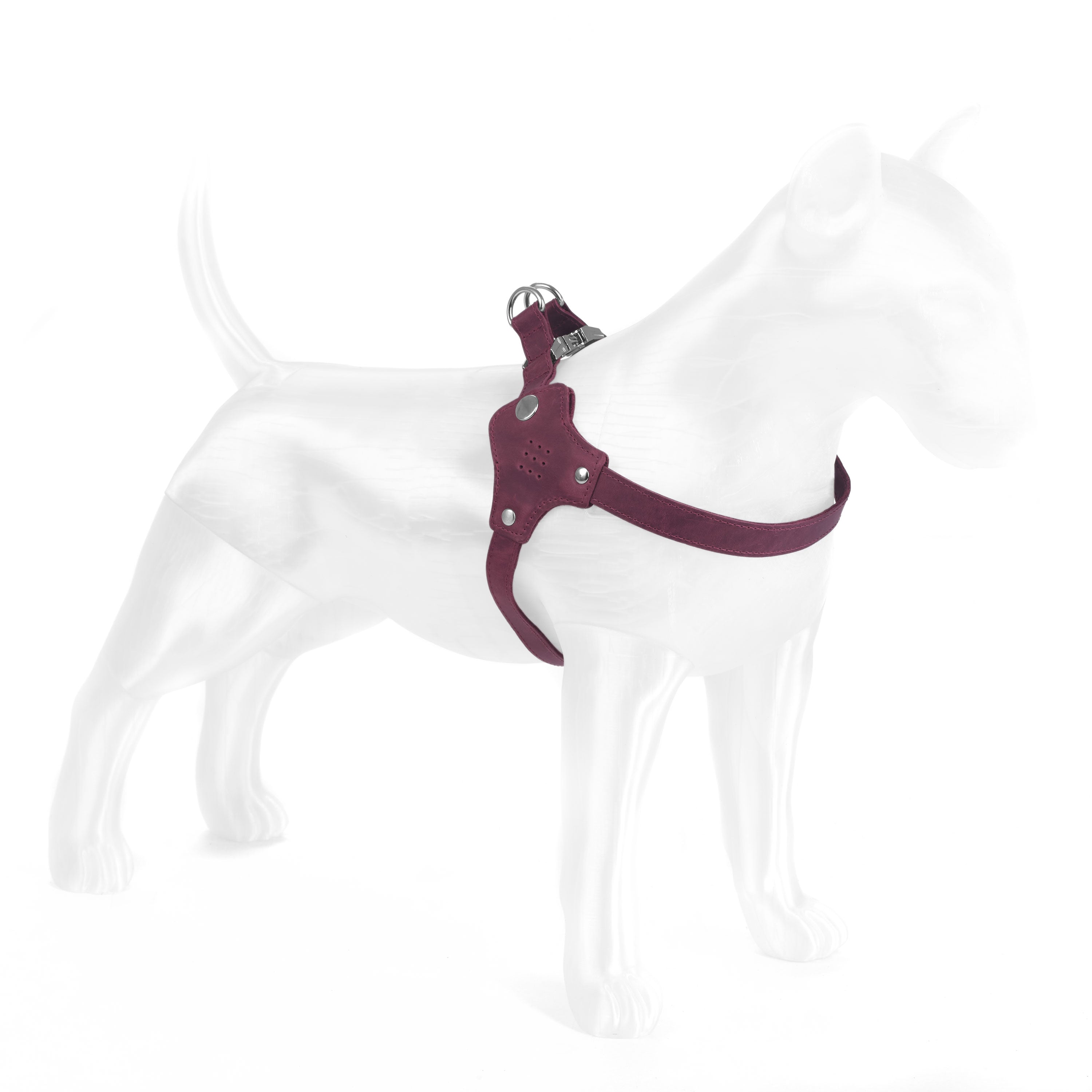 #color_burgundy