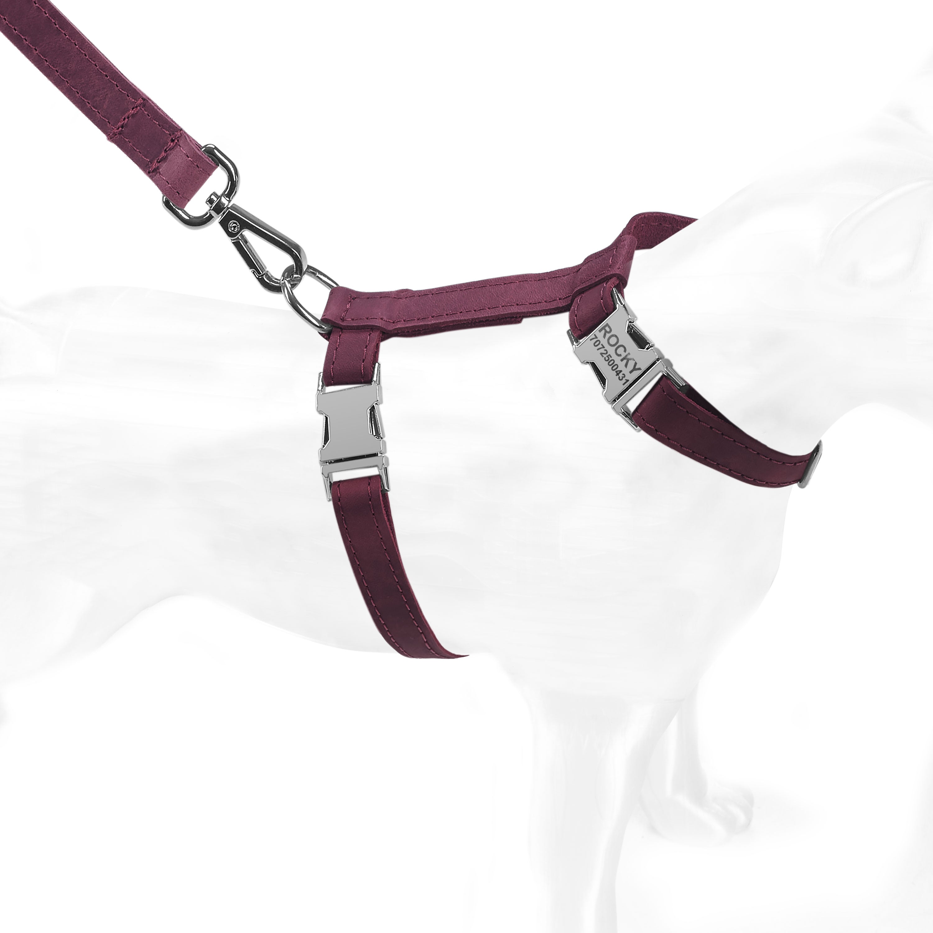 #color_burgundy