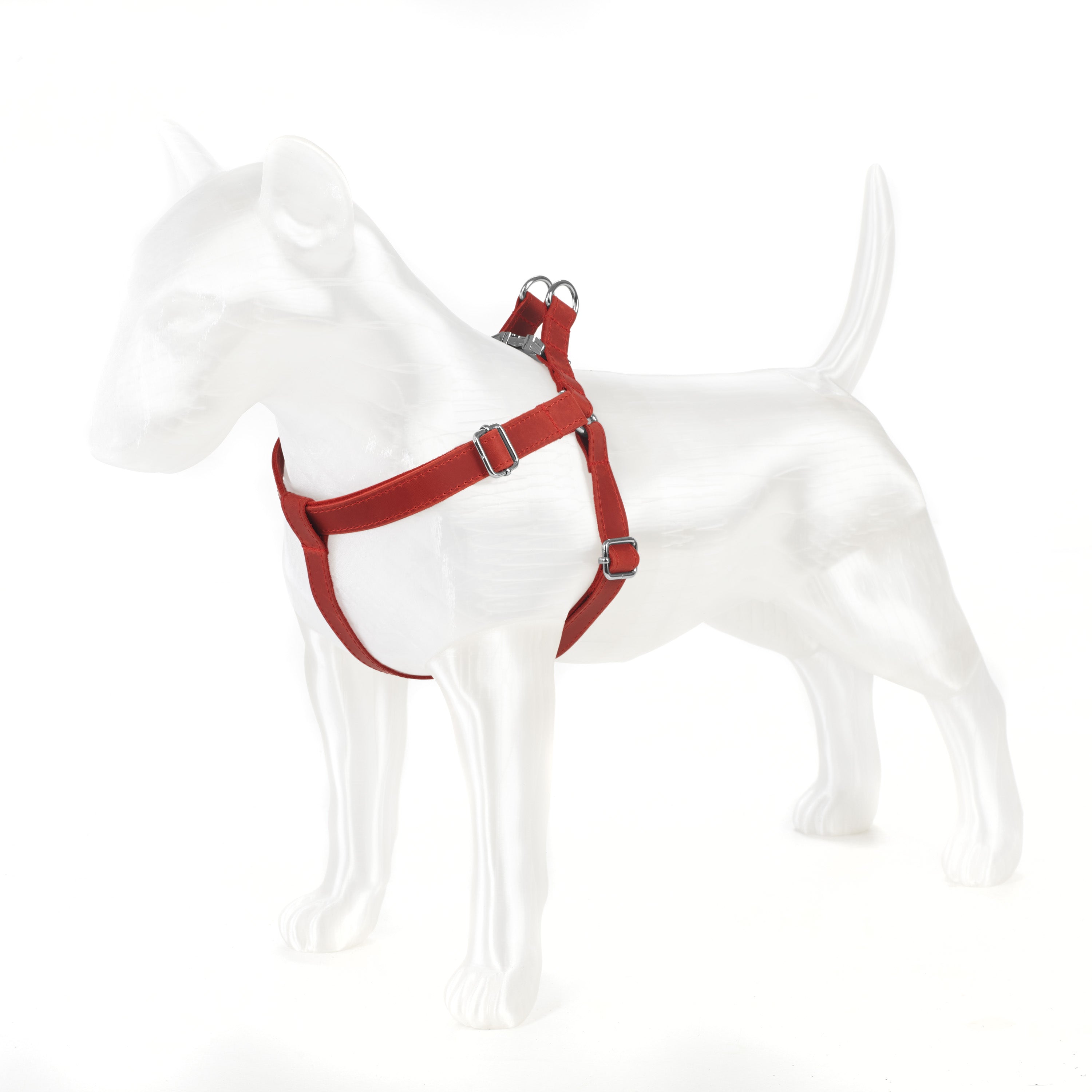 Engraved Leather Dog Harness