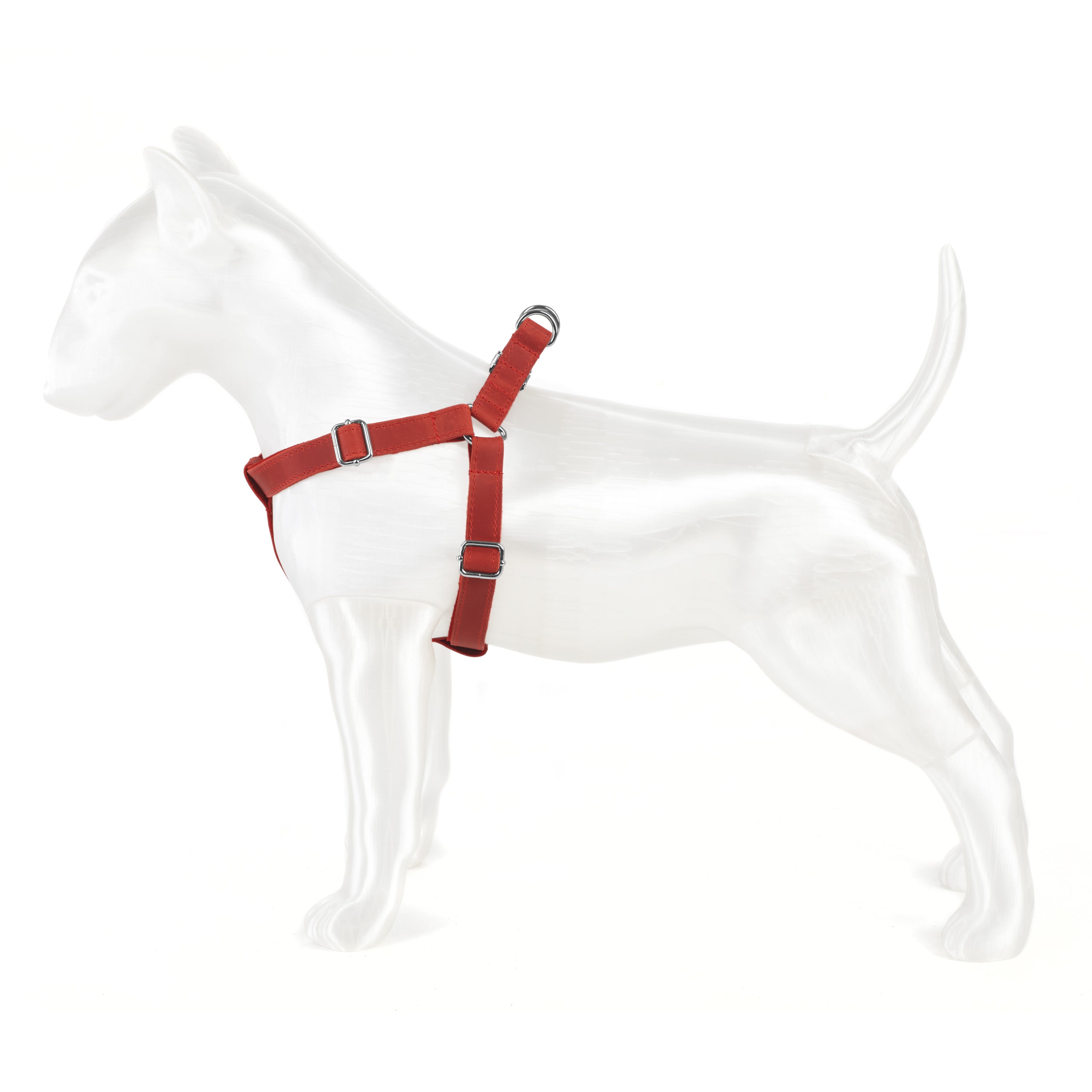 Engraved Leather Dog Harness