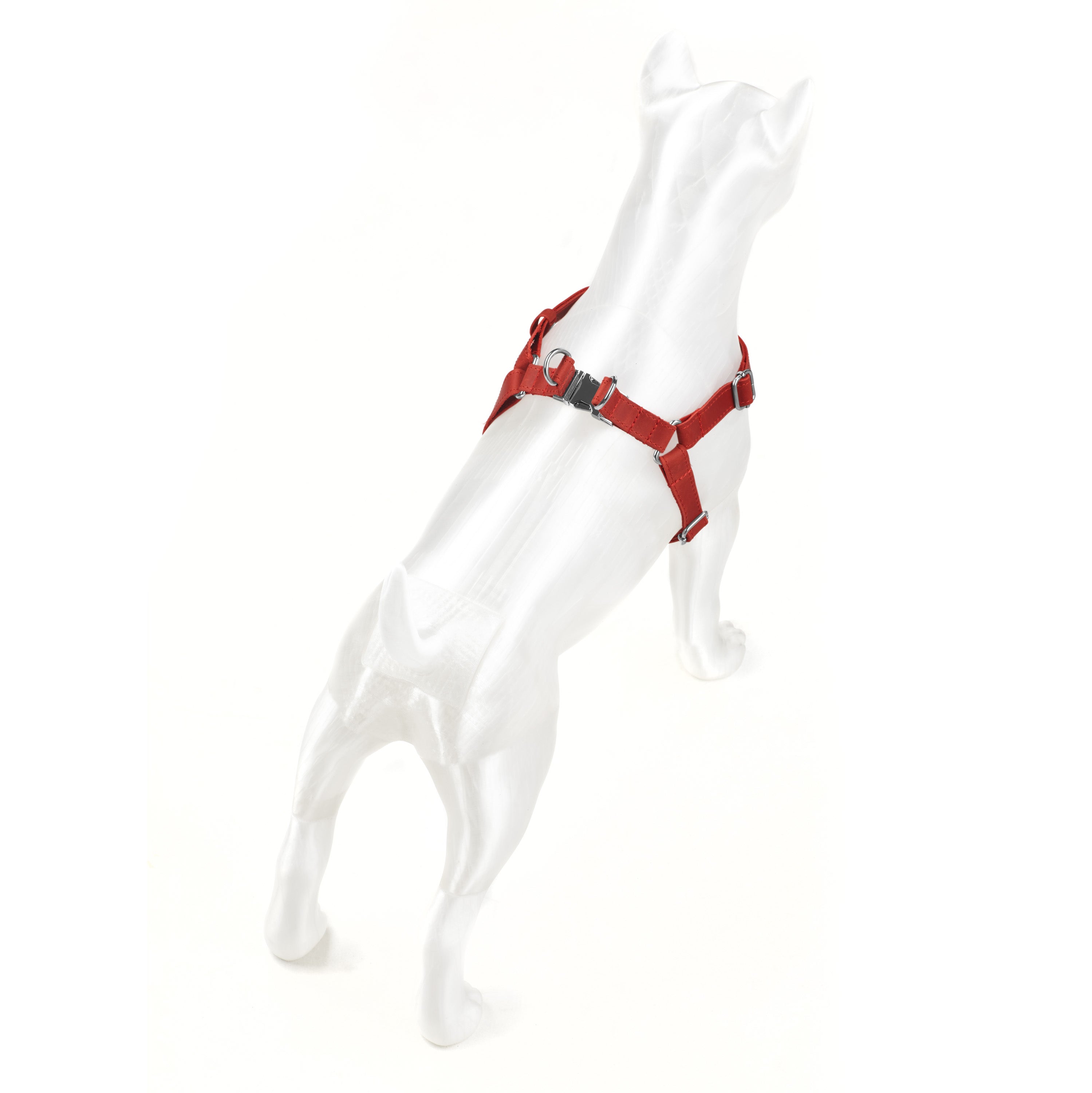Engraved Leather Dog Harness
