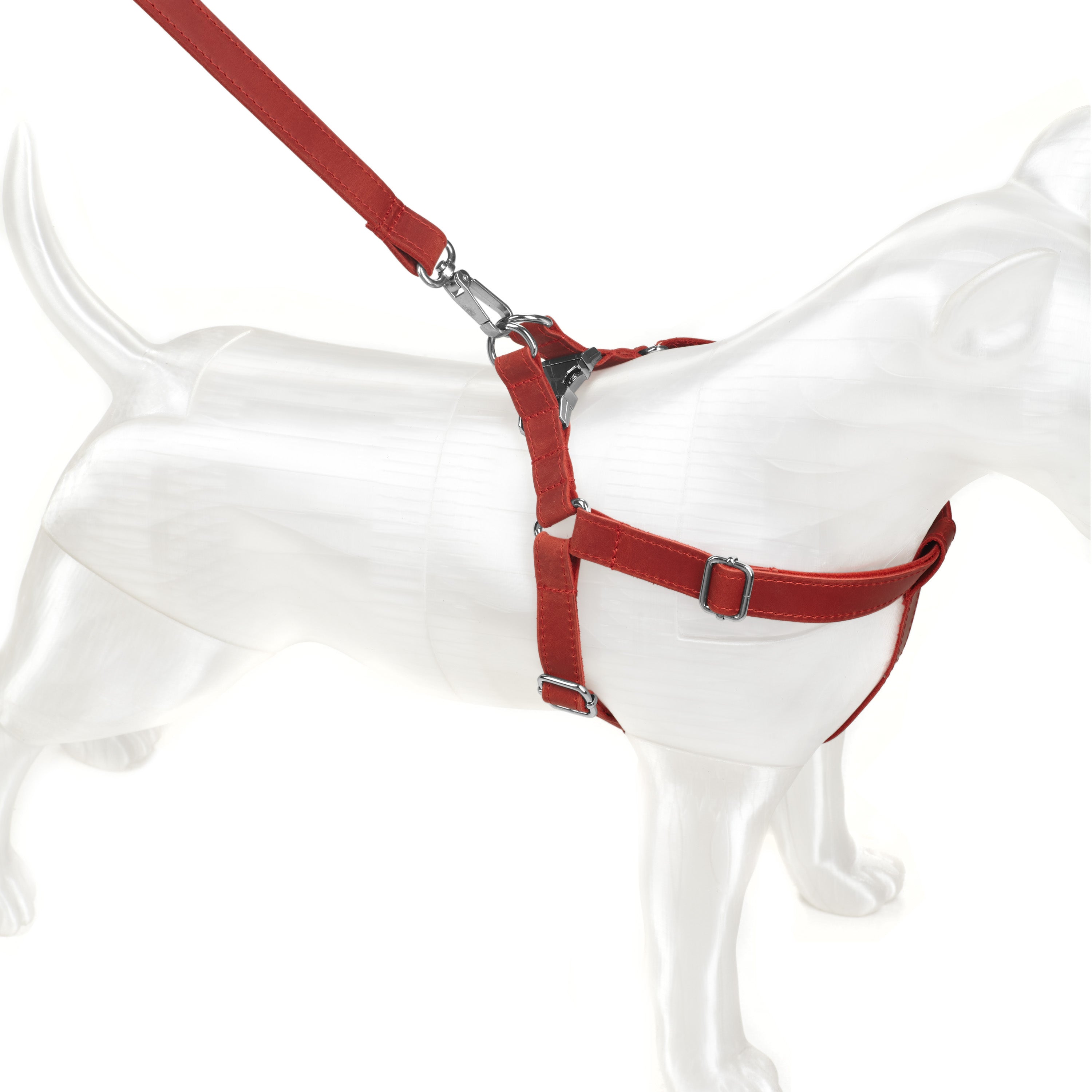 Engraved Leather Dog Harness