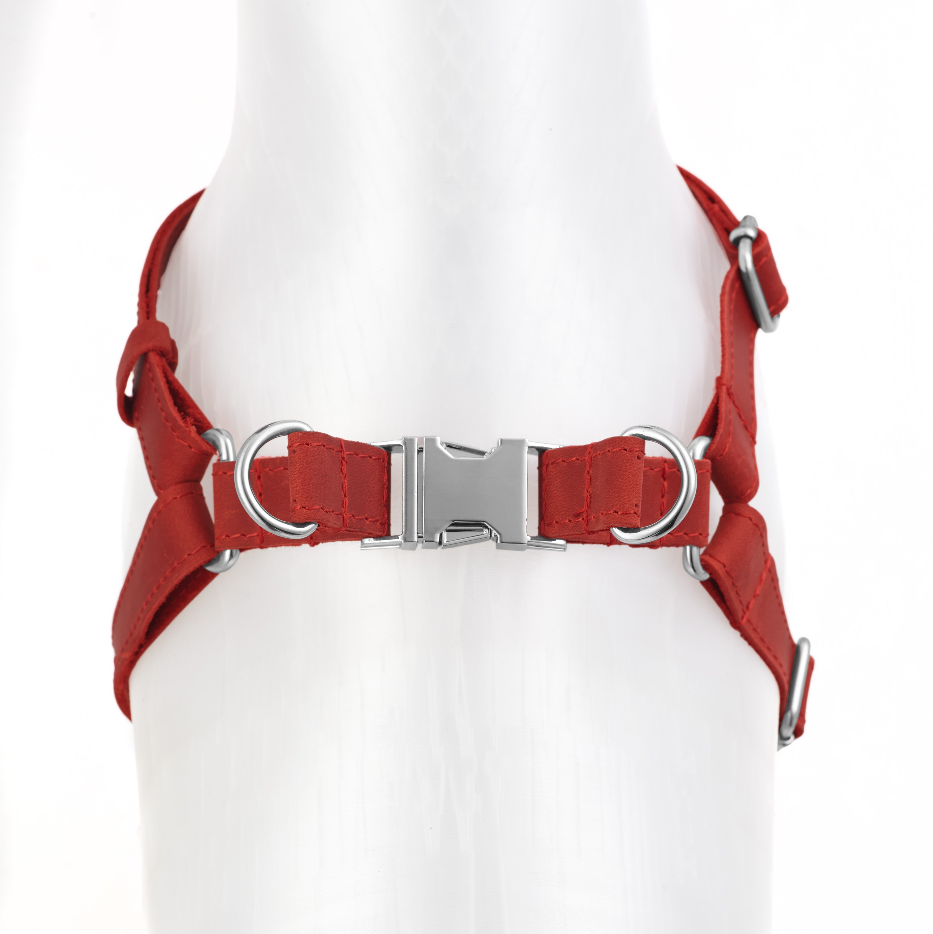 Engraved Leather Dog Harness