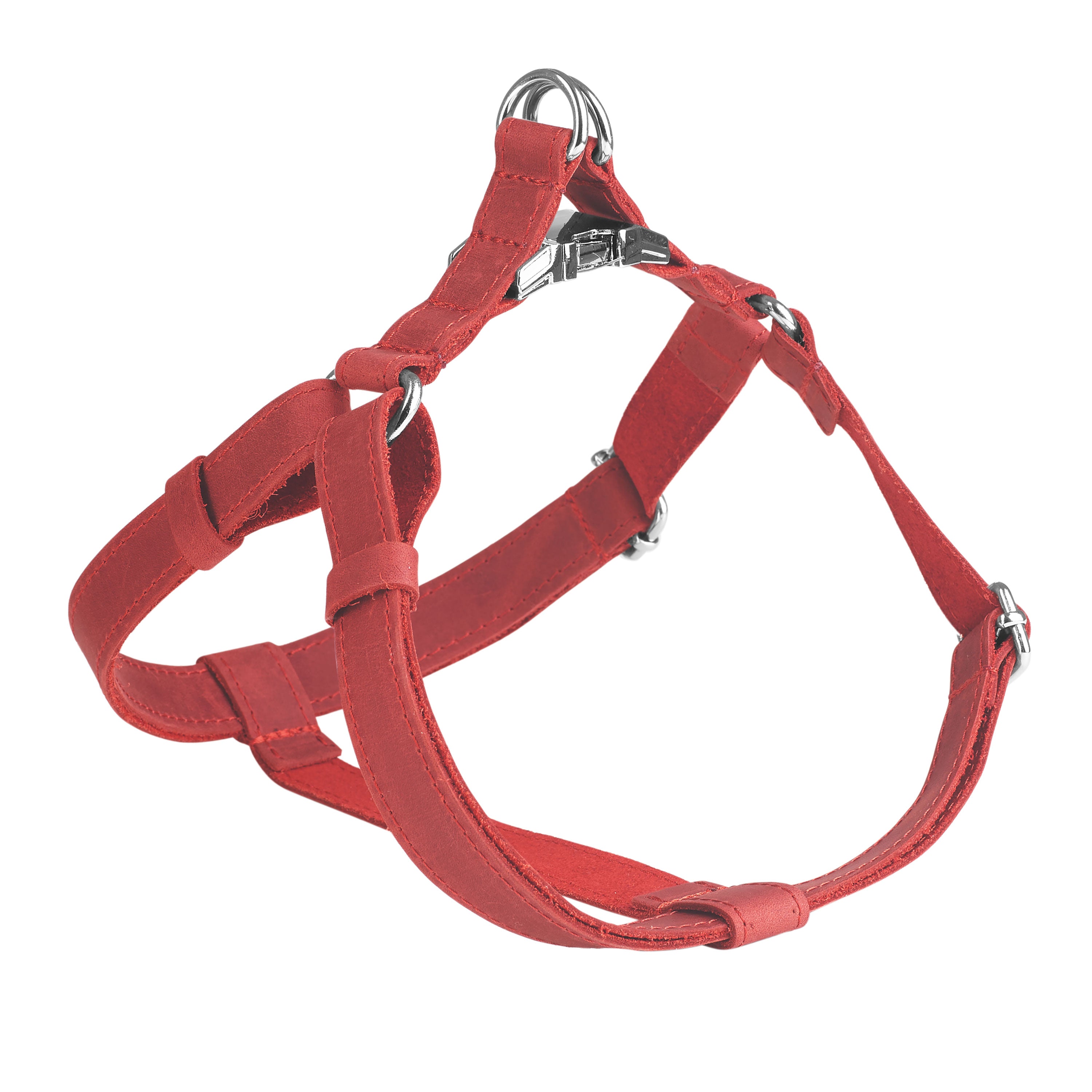 Engraved Leather Dog Harness
