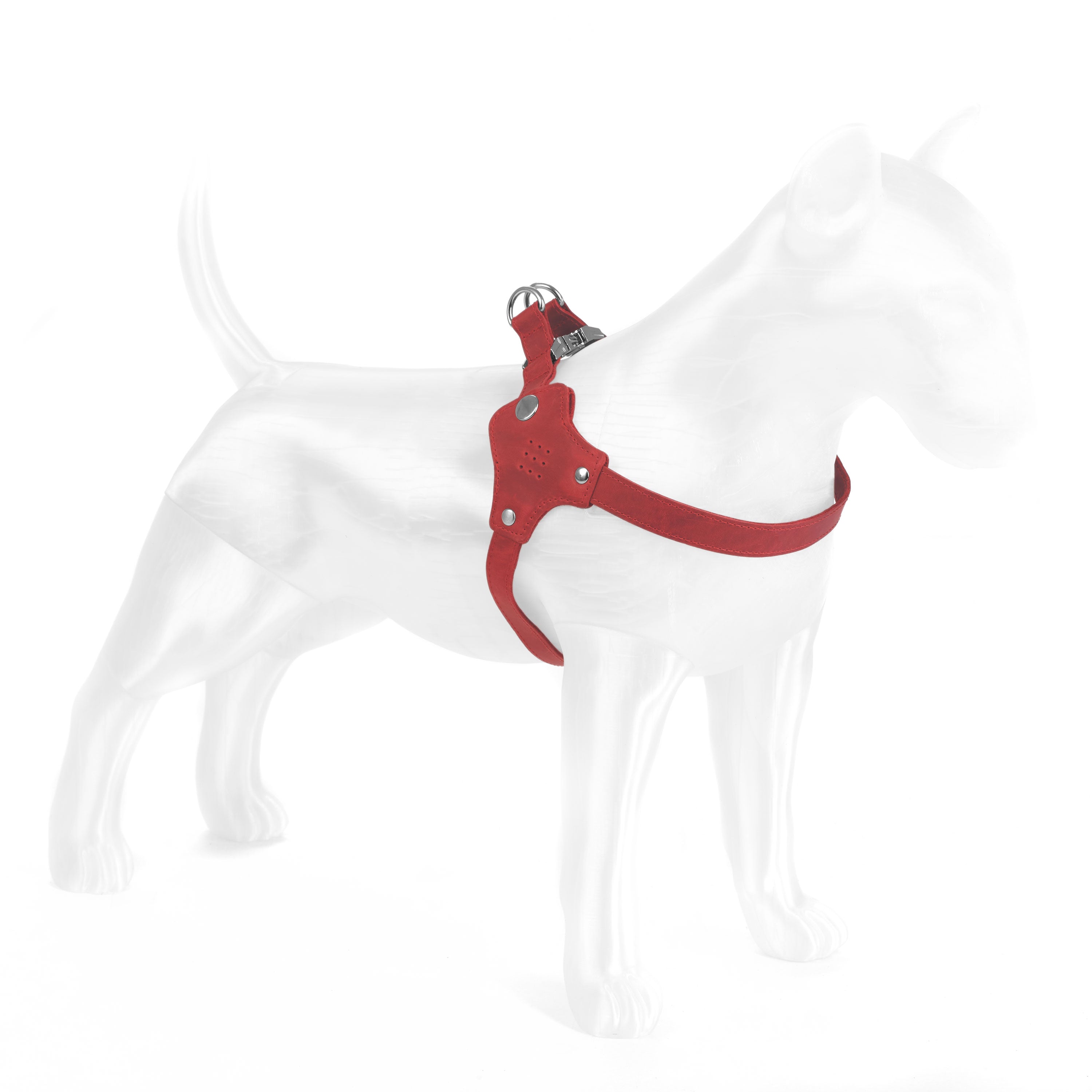 #color_red