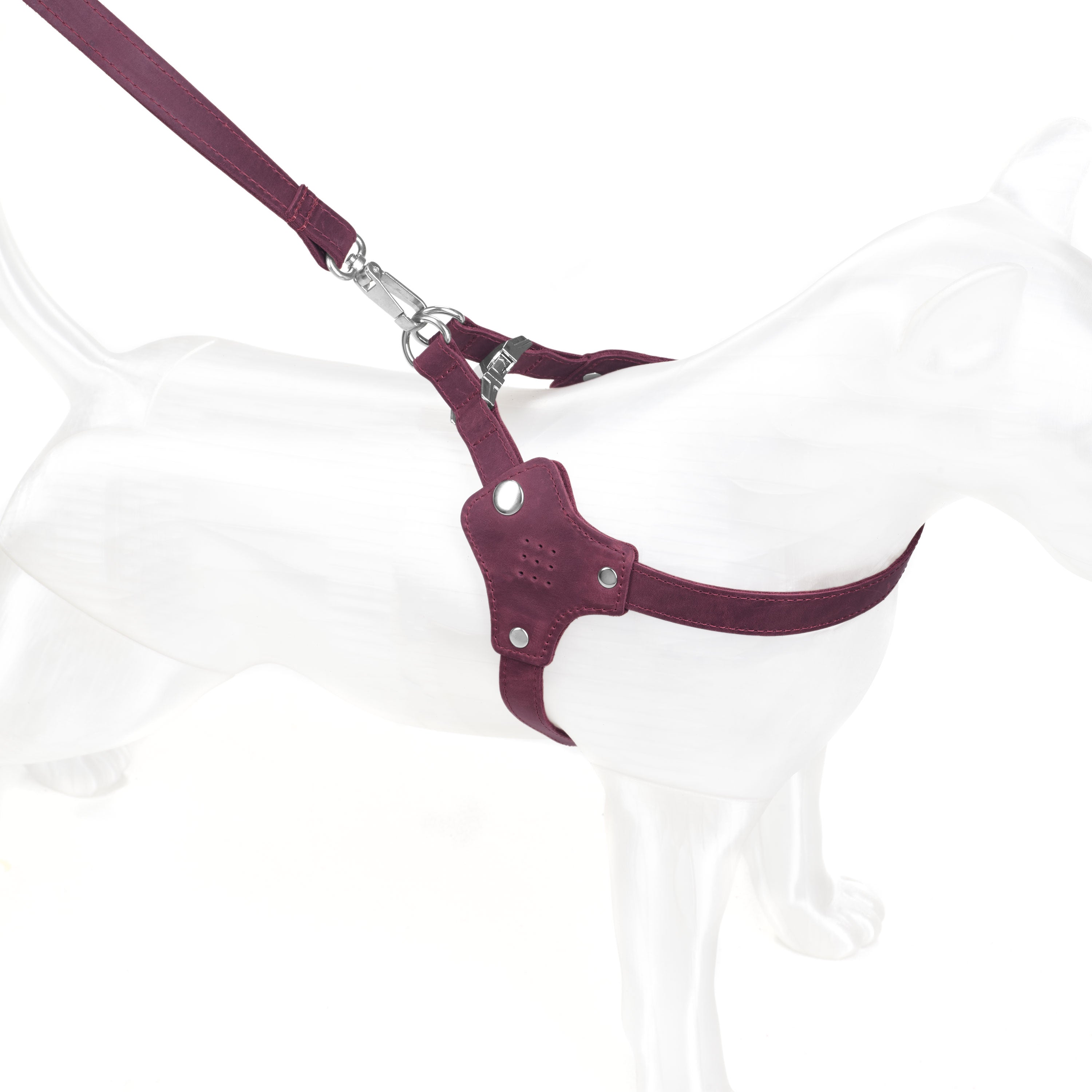 #color_burgundy