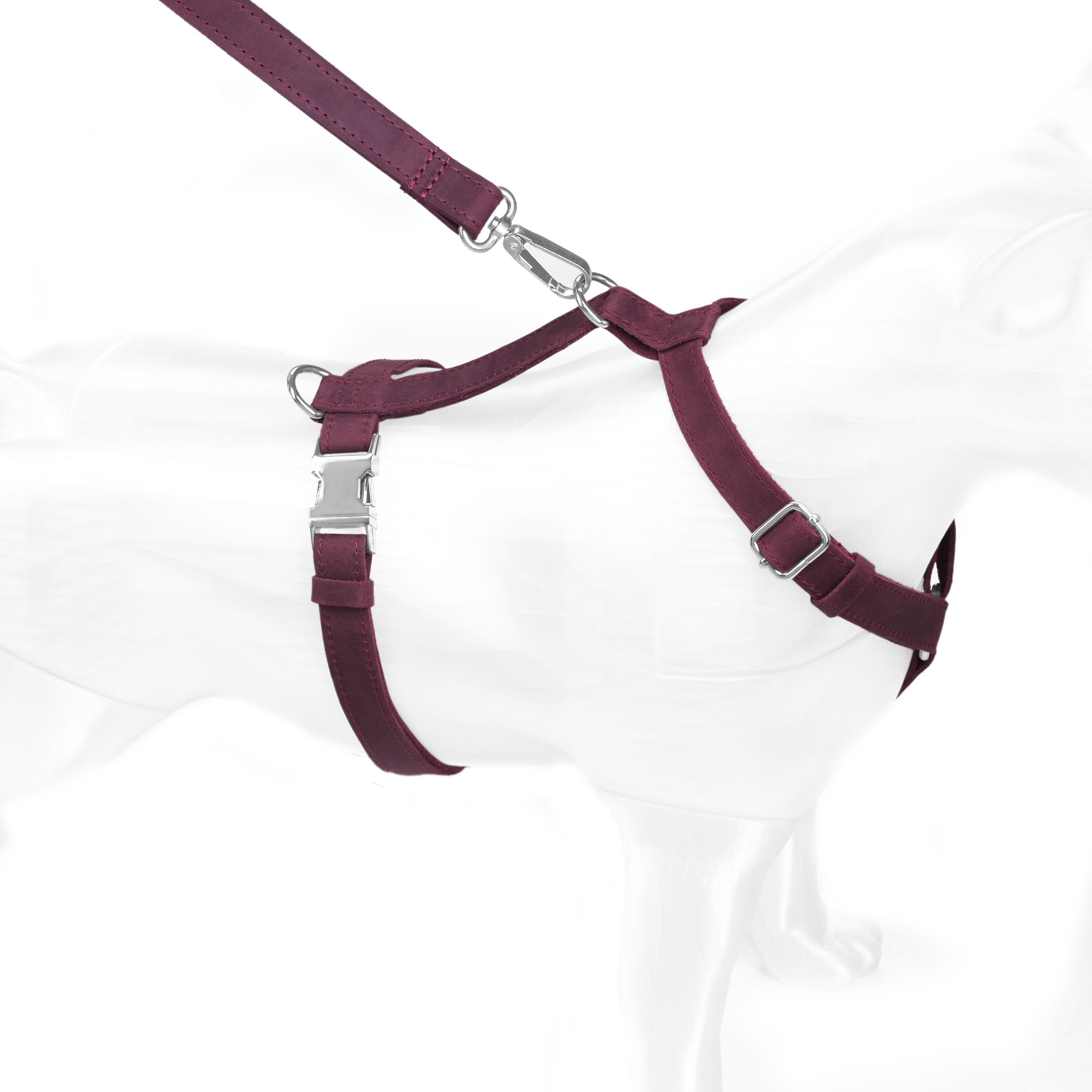 #color_burgundy