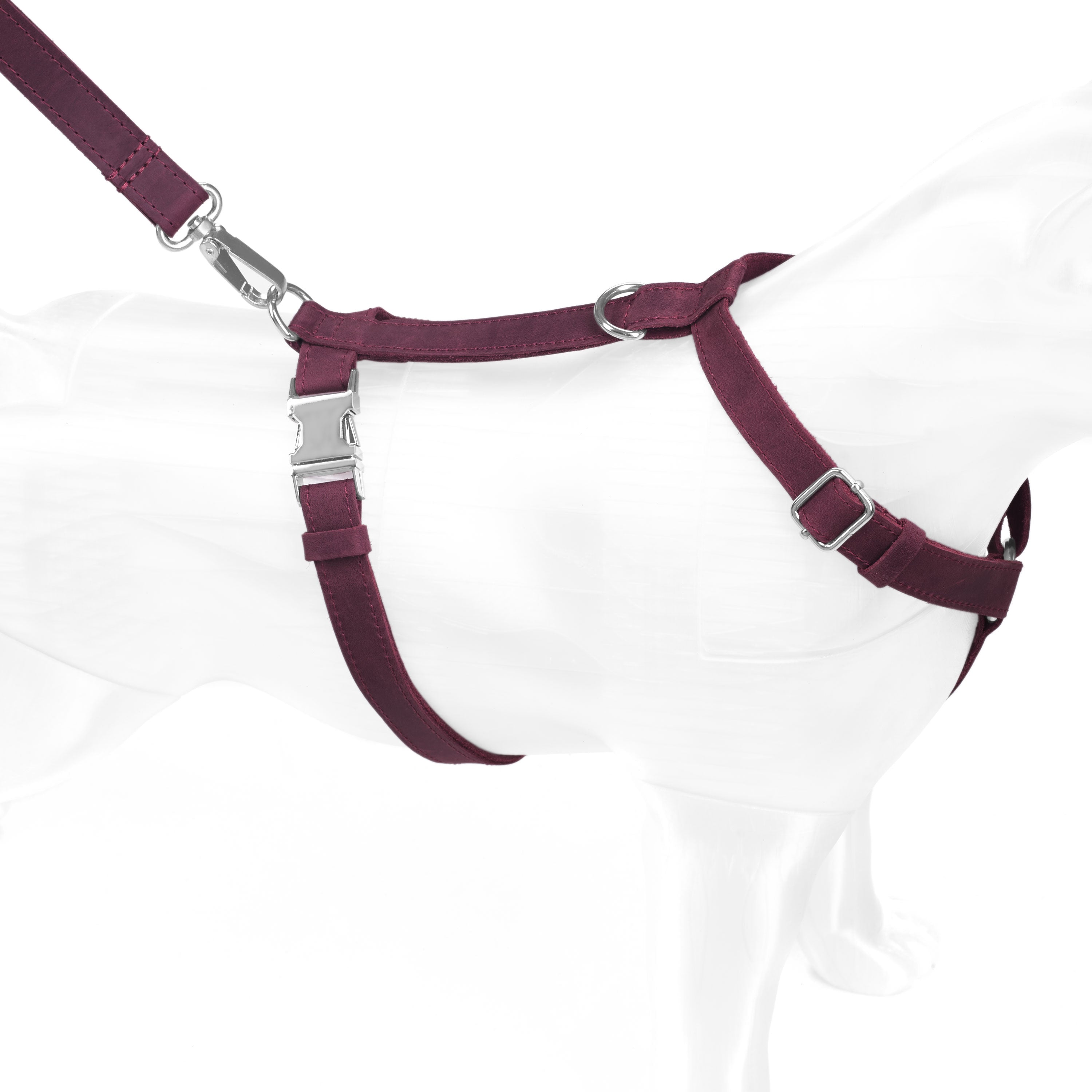 #color_burgundy
