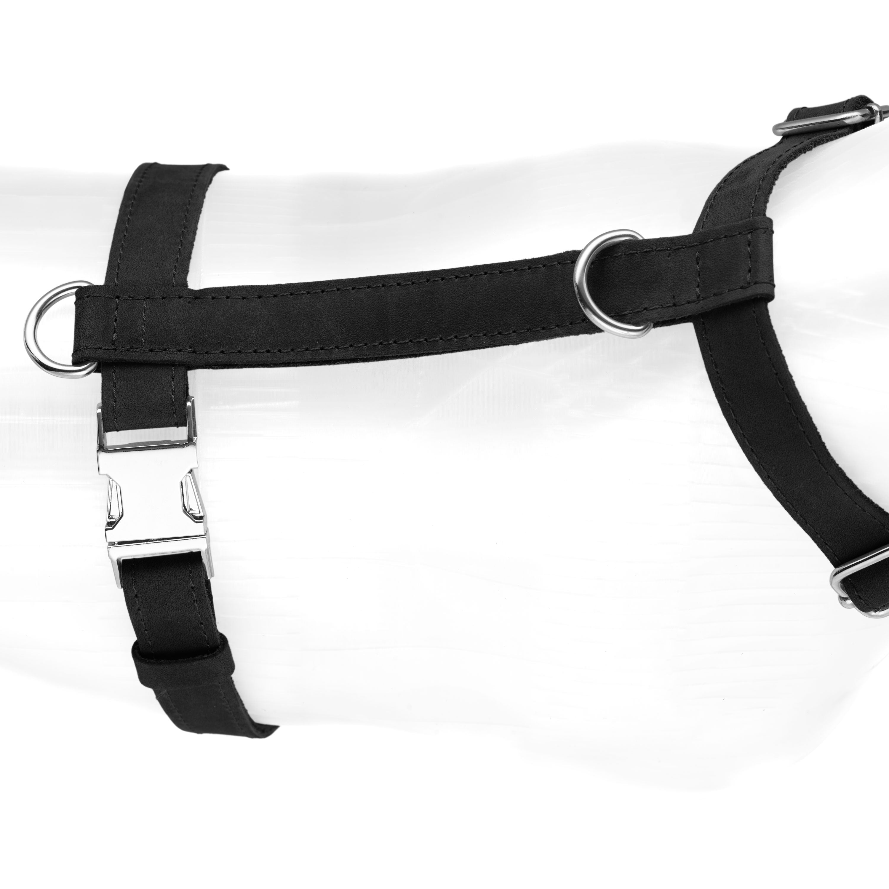 Leather Engraved Dog Harness