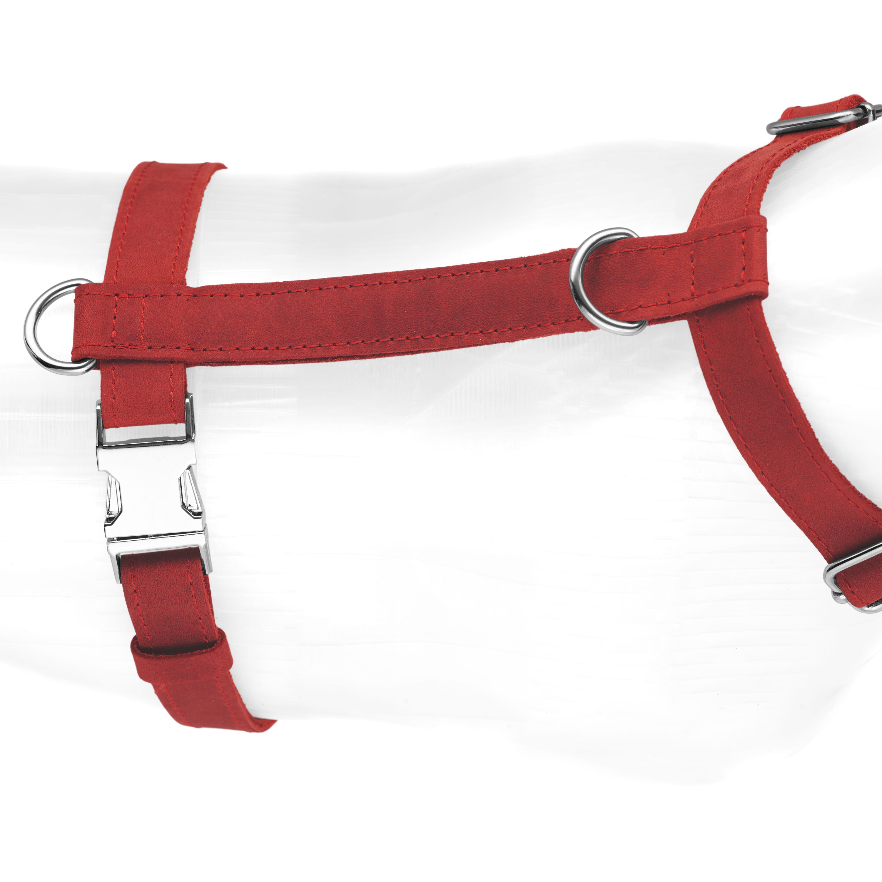 Leather Engraved Dog Harness