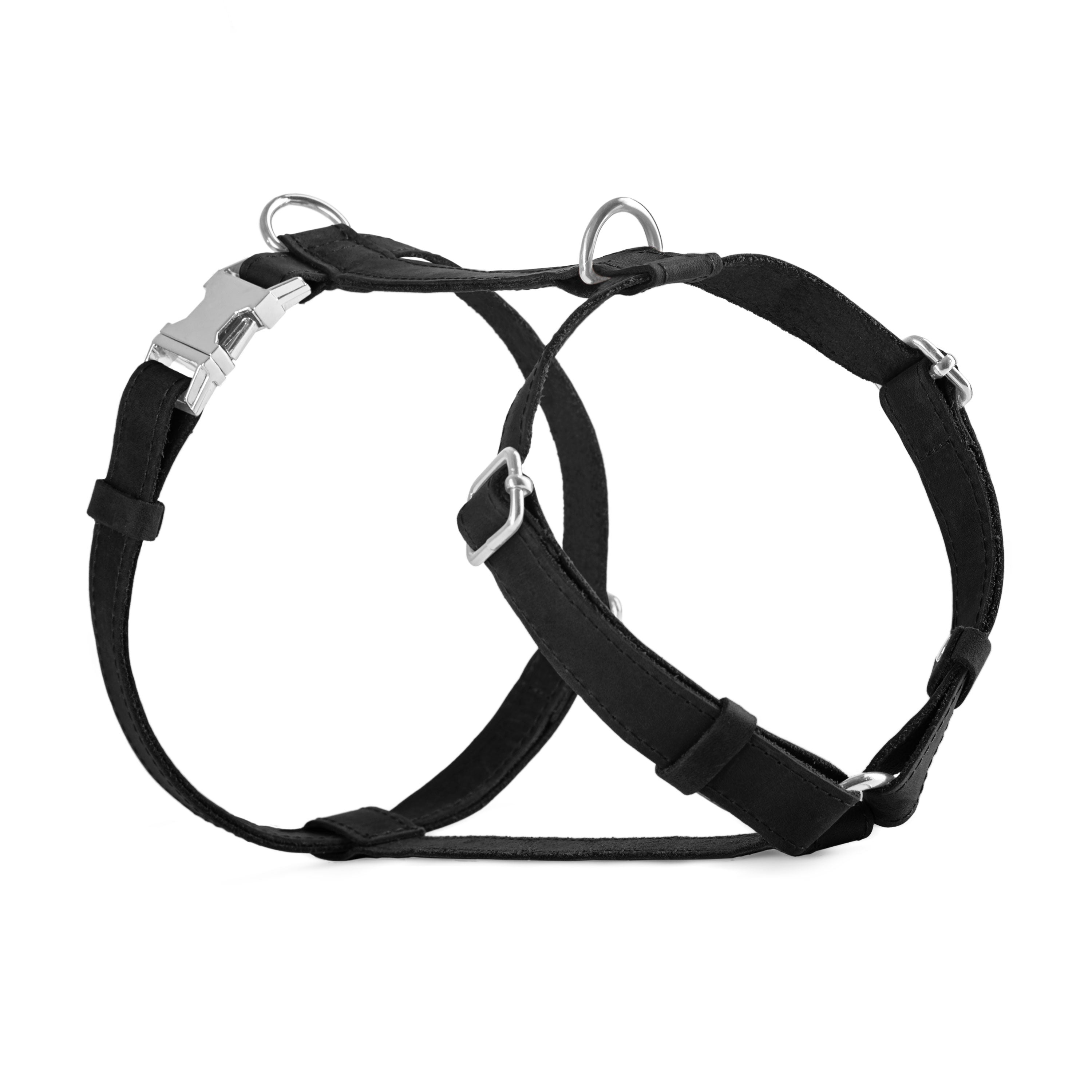 Leather Engraved Dog Harness
