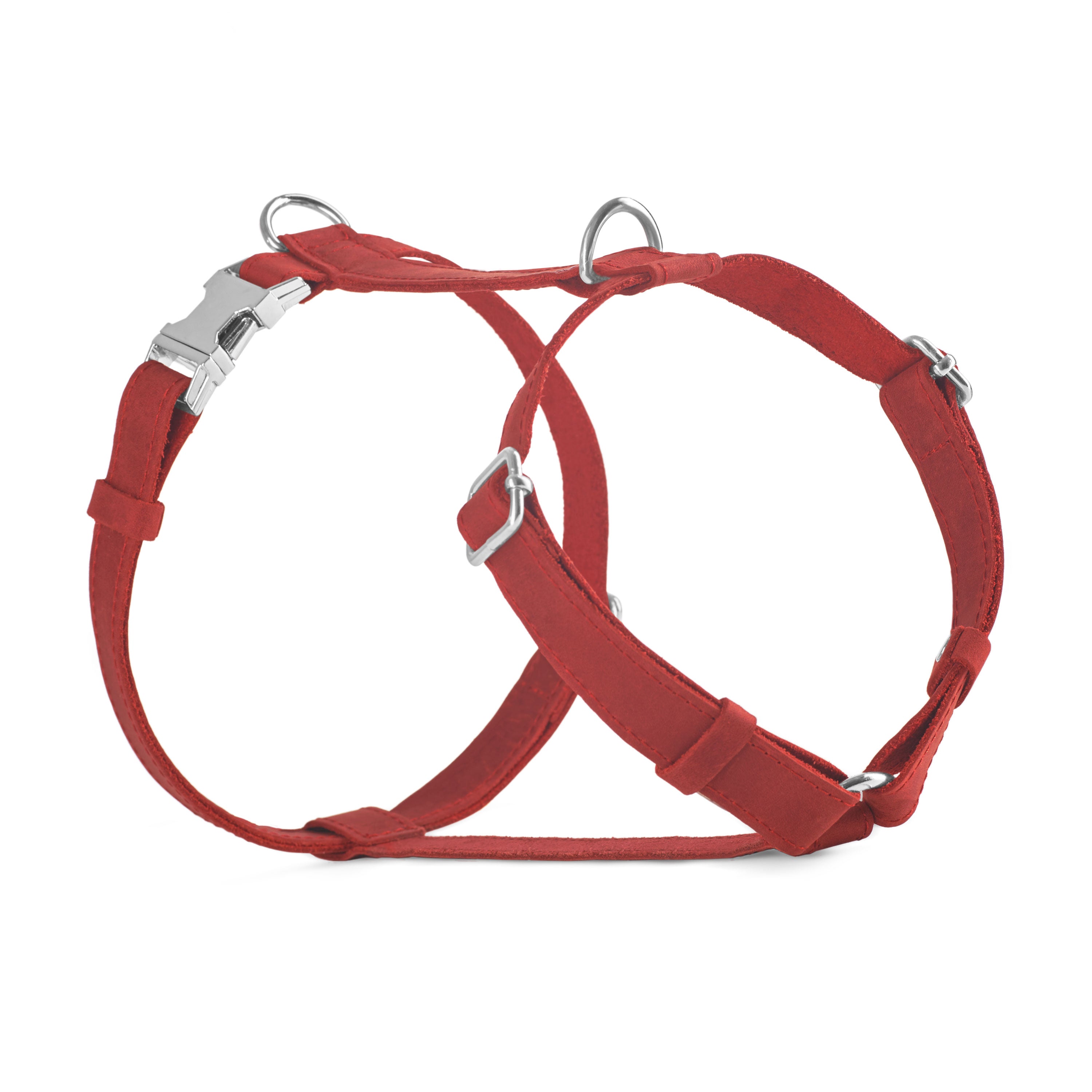 Leather Engraved Dog Harness