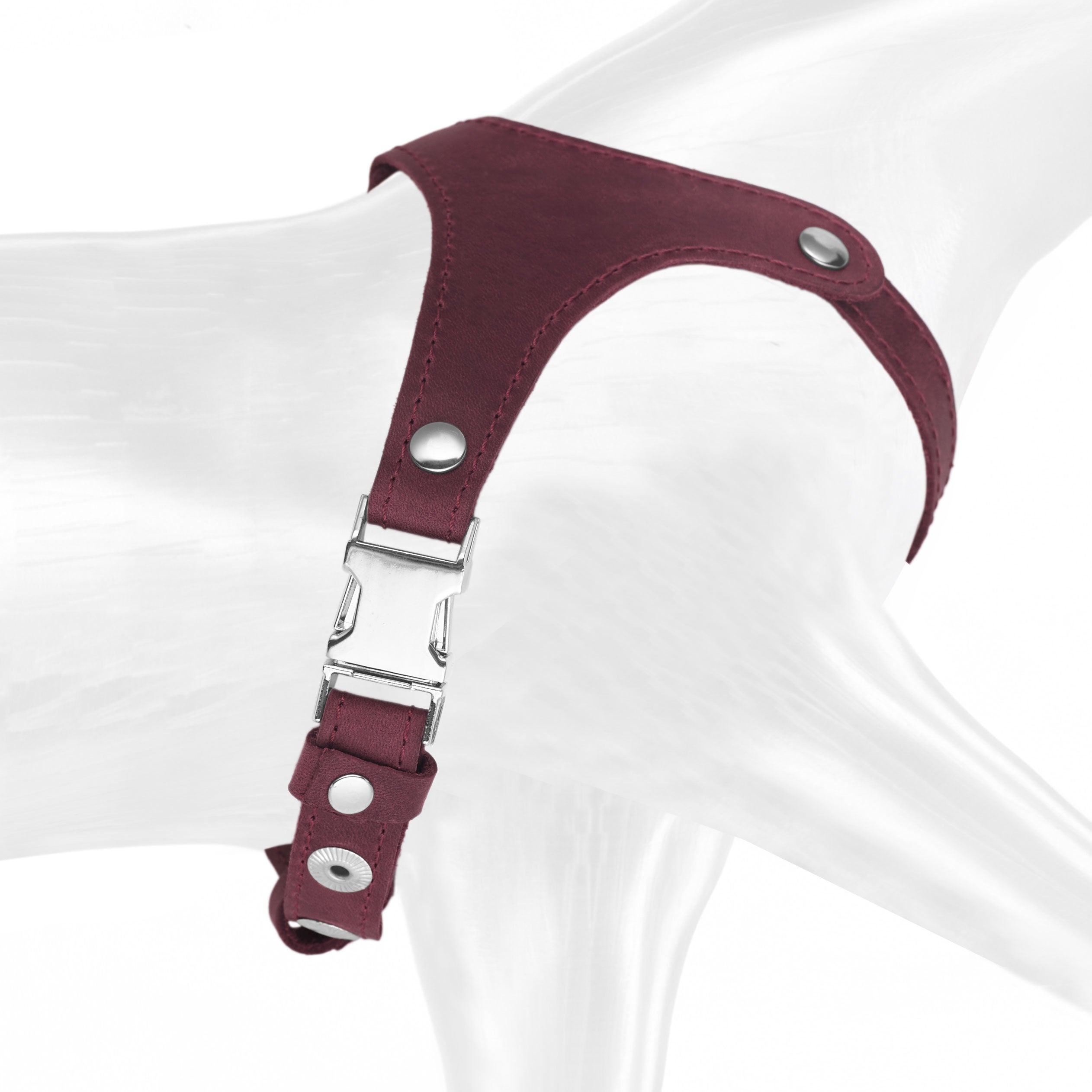 #color_burgundy