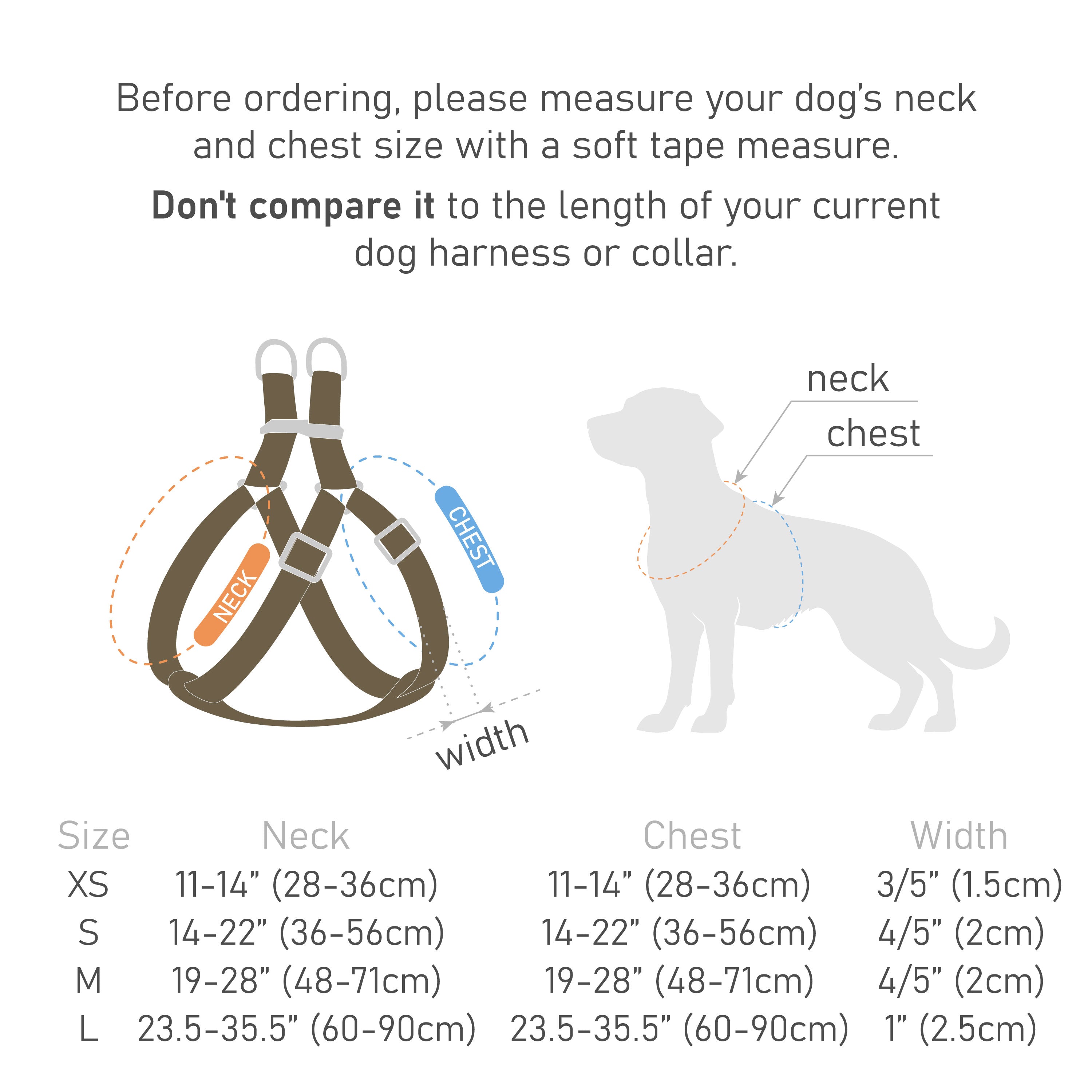 Engraved Leather Dog Harness